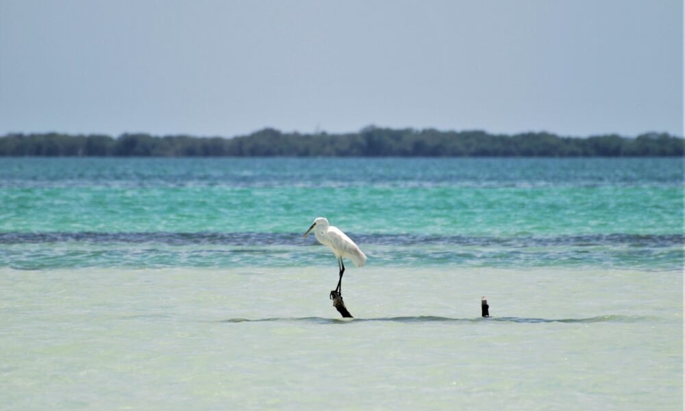 holbox mexico