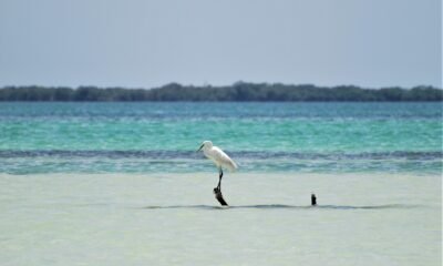 holbox mexico