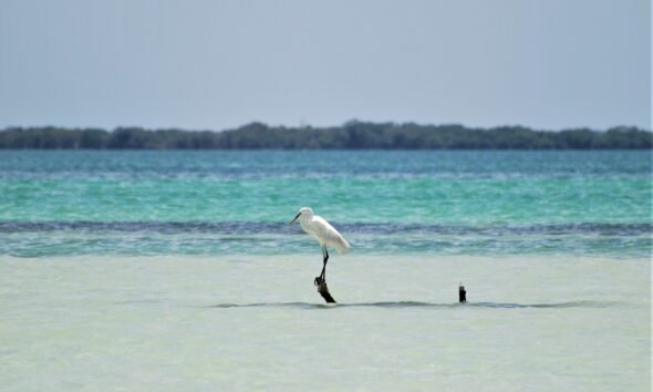 holbox mexico
