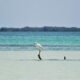concert stage holbox mexico