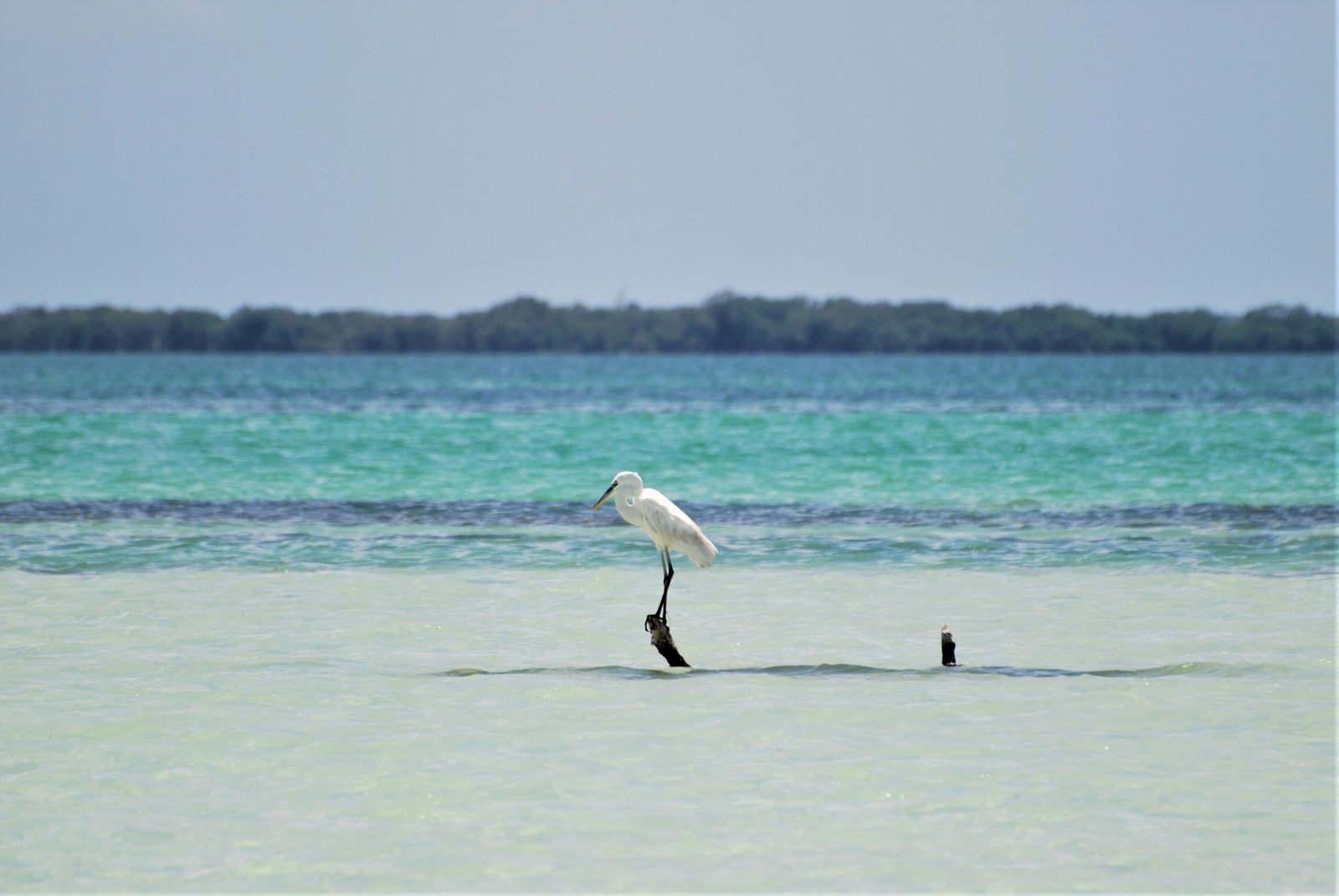 concert stage holbox mexico